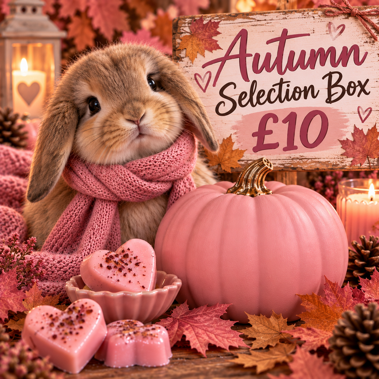 Autumn Selection Box